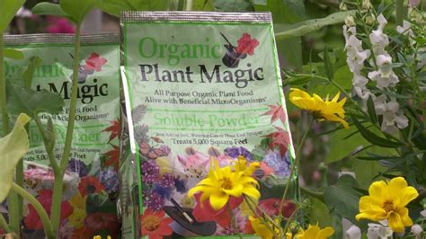 Organic plant magix